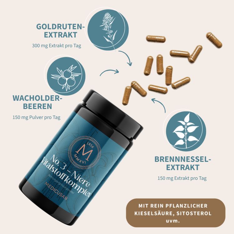 No. 3 Niere Vitalstoffkomplex – Ansicht 2