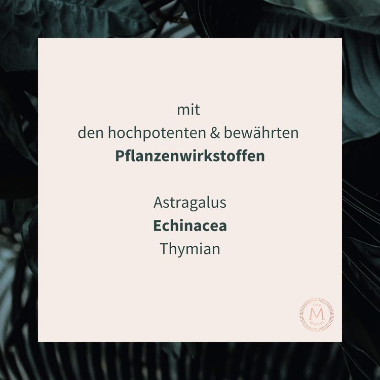 Immune Booster – Ansicht 4