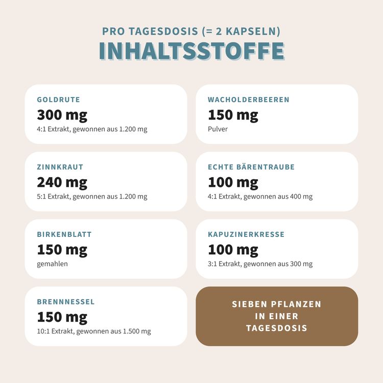No. 3 Niere Vitalstoffkomplex – Ansicht 4