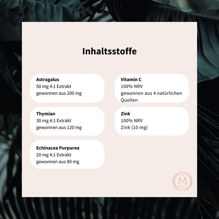 Immune Booster – Ansicht 6